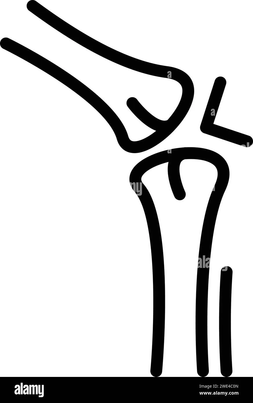 Arthritis & Rheumatism